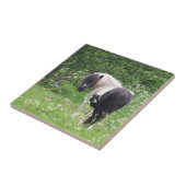 Zwart-wit Paint Pony in Gras en Bloemen Tegeltje (Zijkant)