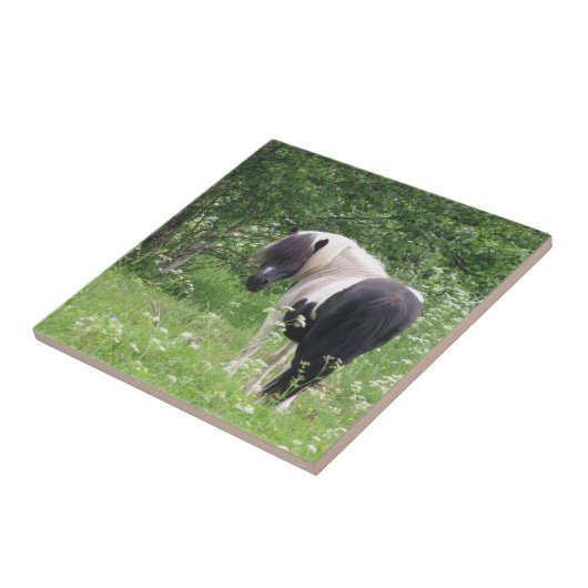Zwart-wit Paint Pony in Gras en Bloemen Tegeltje (Zijkant)