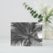 Zwart & Wit Palm ansichtkaart Briefkaart (Staand voorkant)