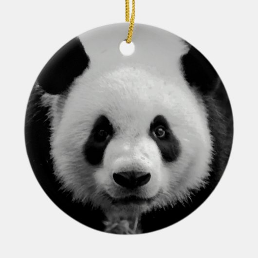 Zwart & Wit Panda Beer Kerstboom Ornament (Voorkant)