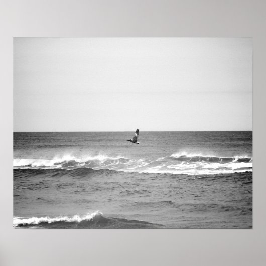 Zwart-wit pelikaans vliegen over de oceaan 16 x 20 poster (Voorkant)