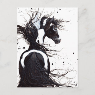 Zwart wit Pinto Paint Horse met Bihrle Post Card Briefkaart