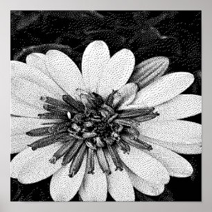 zwart-wit pixelkunst poster