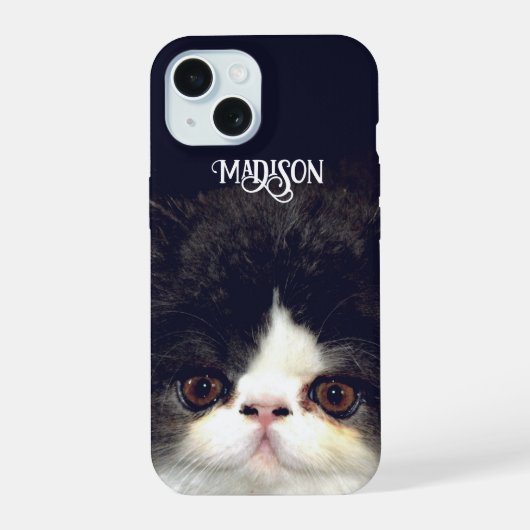 Zwart-wit pluizige kitten kat iPhone 15 case (Achterkant)