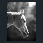 Zwart-wit Pop Art Horse Print Poster<br><div class="desc">BW Horse Head Pop Art Posters Prints - Zwart-witte landbouwhuisdieren Fotografie Digitale Pop Kunstwerk - Pop Kunstzwart-wit paardengezicht Poster afdrukken met kleine,  middelgrote,  grote,  grote,  gigantische,  kolossale Posters groottes. Grote Posters Prints.</div>