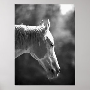 Zwart-Wit Pop Art Paard Print Poster