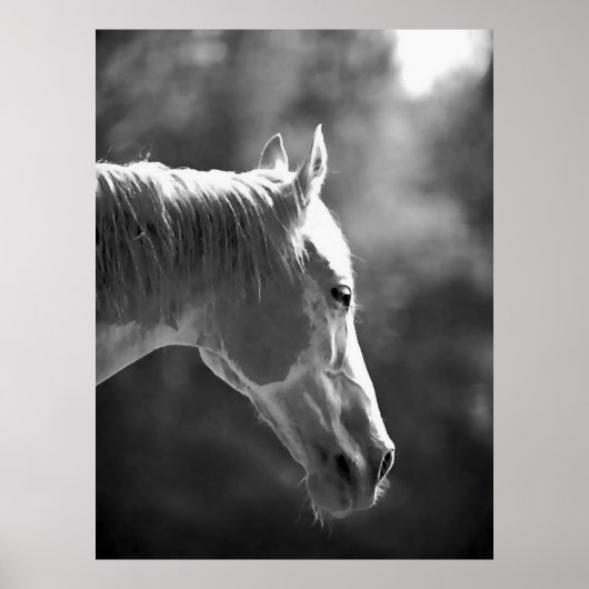 Zwart-Wit Pop Art Paard Print Poster (Voorkant)