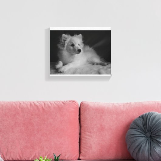 Zwart & Wit portret Japans Spitz Canvas Afdruk (Insitu (Woonkamer))
