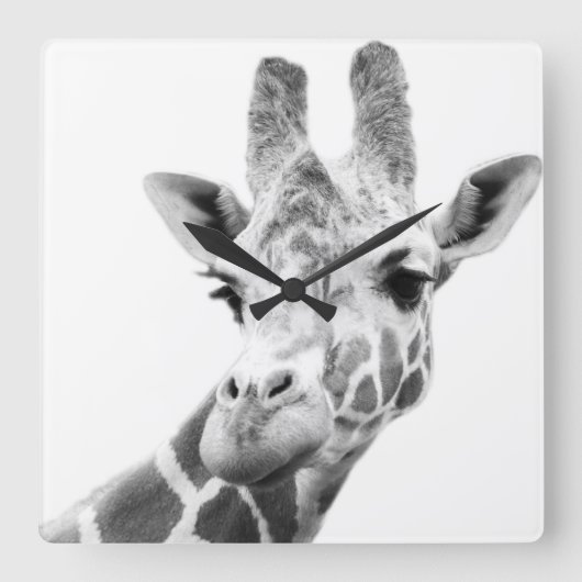 Zwart-wit portret van een giraffe vierkante klok (Voorkant)