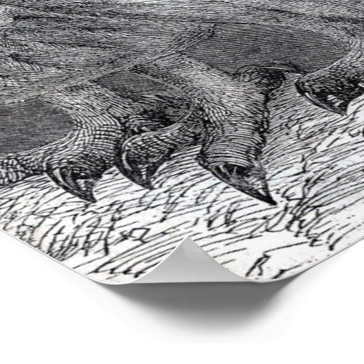  zwart-wit Poster (Hoek)