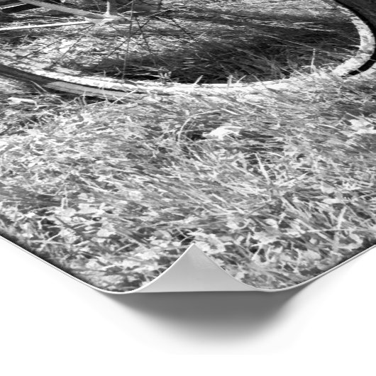 Zwart-wit Poster Roodbloemen (Hoek)