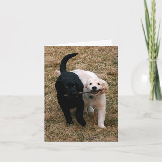 Zwart-wit puppies briefkaart (Voorkant)