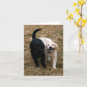 Zwart-wit puppies briefkaart (Gele Bloem)