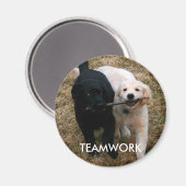 Zwart & wit puppies magneet (Voorkant / Achterkant)