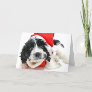 Zwart-wit puppy die de uitrusting van de Kerstman Feestdagen Kaart