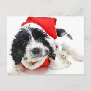Zwart-wit puppy die de uitrusting van de Kerstman Feestdagenkaart