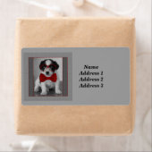 Zwart-wit puppy met rood Stropdas Adres Etiket (Insitu)