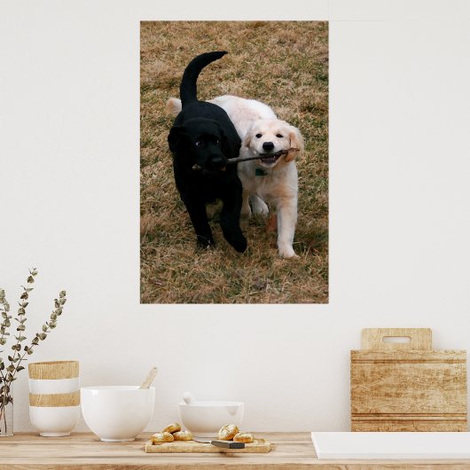 Zwart-wit puppy poster (Keuken)