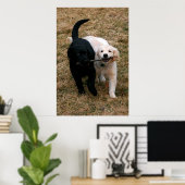 Zwart-wit puppy poster (Thuiskantoor)