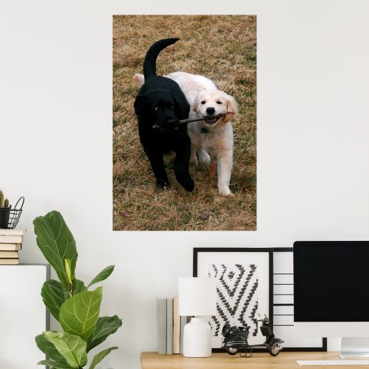 Zwart-wit puppy poster (Thuiskantoor)