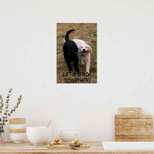 Zwart-wit puppy poster (Keuken)