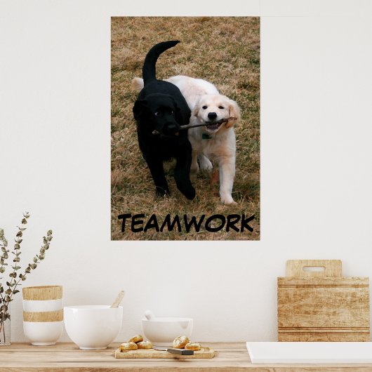 Zwart-wit puppy poster (Keuken)