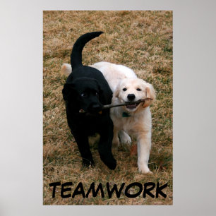 Zwart-wit puppy poster