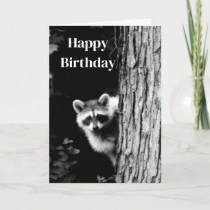 Zwart-wit Raccoon Foto Birthday Card Kaart