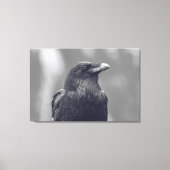 Zwart-wit Raven Portret Canvas Afdruk (Voorkant)