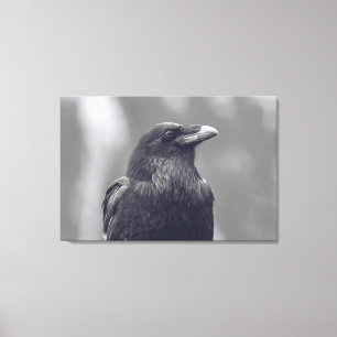 Zwart-wit Raven Portret Canvas Afdruk