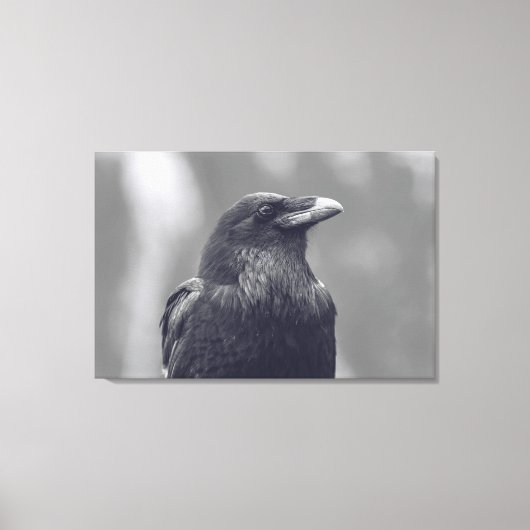 Zwart-wit Raven Portret Canvas Afdruk (Voorkant)