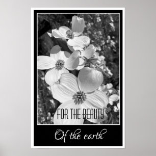 Zwart-wit reflecties Voor de schoonheid poster
