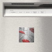 Zwart-wit - rode baarmoeder magneet (Insitu (Vaatwasser))