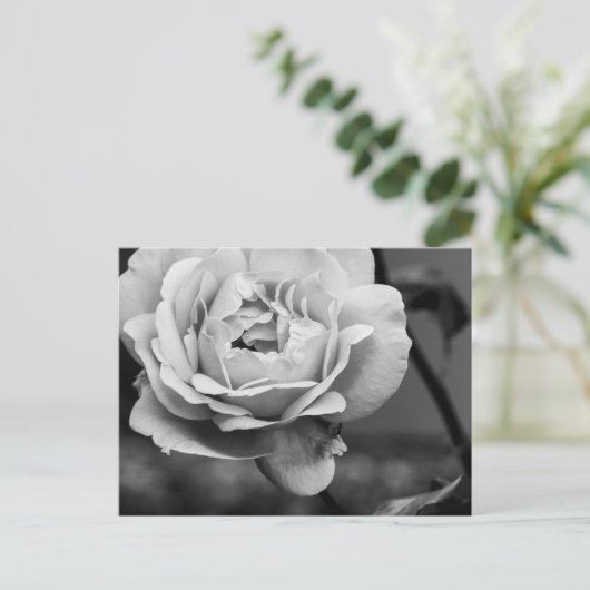 Zwart-wit Romantisch Roos Briefkaart (Staand voorkant)