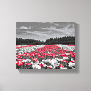 Zwart Wit Rood Bloem Canvas Afdruk