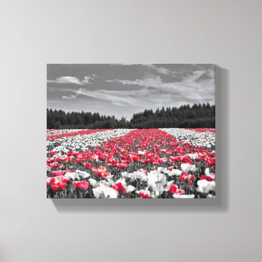 Zwart Wit Rood Bloem Canvas Afdruk (Voorkant)