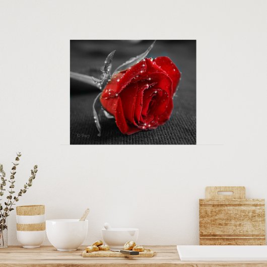 Zwart/wit/rood Poster (Keuken)