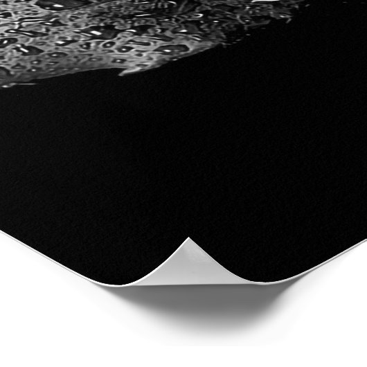 Zwart wit Roos Poster (Hoek)