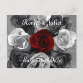 Zwart Wit Roos Save the Date Briefkaart (Voorkant)