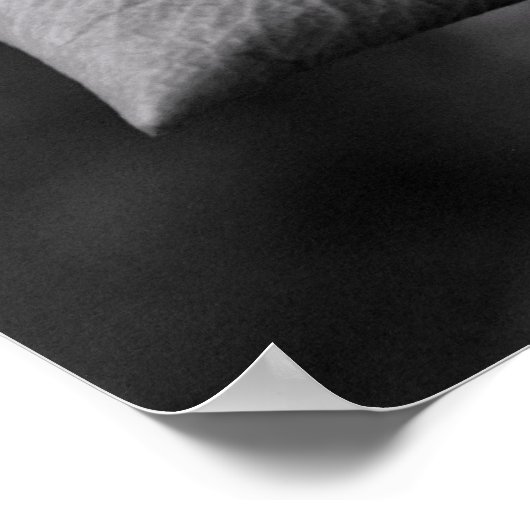 Zwart-wit roze Poster (Hoek)