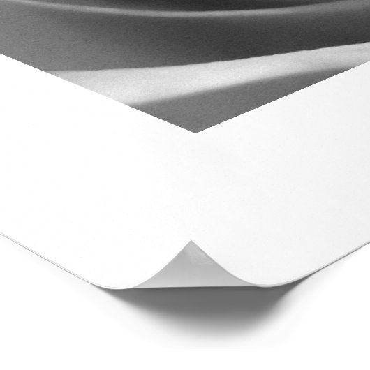 Zwart-wit roze Poster Poster Afdrukken (Hoek)