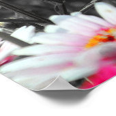 Zwart-wit roze ventilator tuin zwart-wit poster (Hoek)