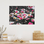 Zwart-wit roze ventilator tuin zwart-wit poster (Keuken)