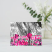 Zwart wit roze zwart zwart zwart zwart zwart zwart briefkaart (Staand voorkant)