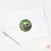 Zwart-wit Ruffed Lemur #2-1 Stickers (Envelop)