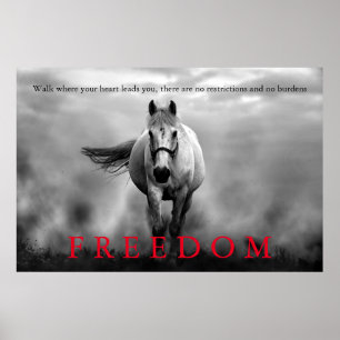 Zwart Wit Running Horse Freedom Inspirerend Poster