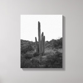 Zwart-wit Saguaro Cactus 11x14 Canvas Afdruk