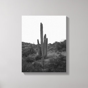 Zwart-wit Saguaro Cactus 11x14 Canvas Afdruk