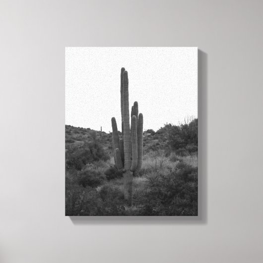 Zwart-wit Saguaro Cactus 11x14 Canvas Afdruk (Voorkant)