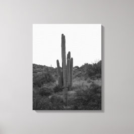 Zwart-wit Saguaro Cactus 16x20 Canvas Afdruk